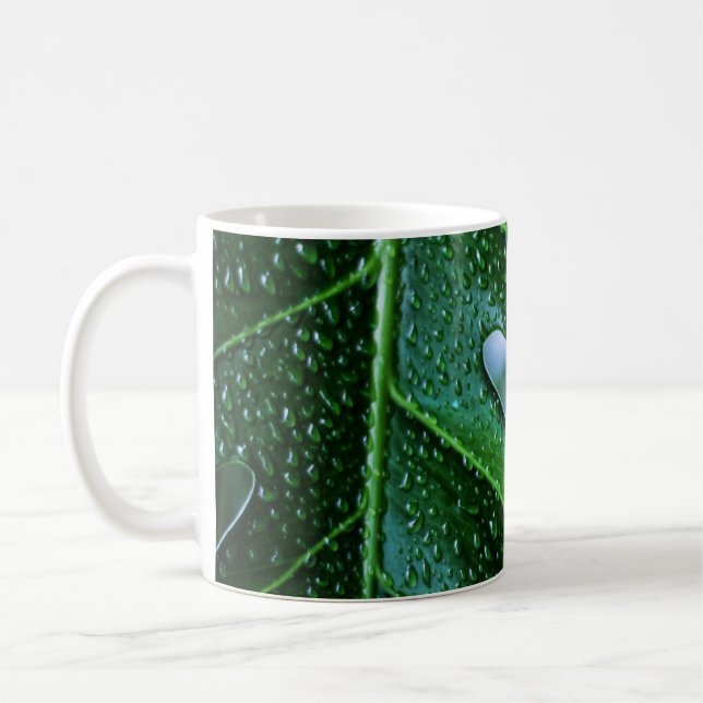 Pflanze Monstera Kaffeetasse (Links)