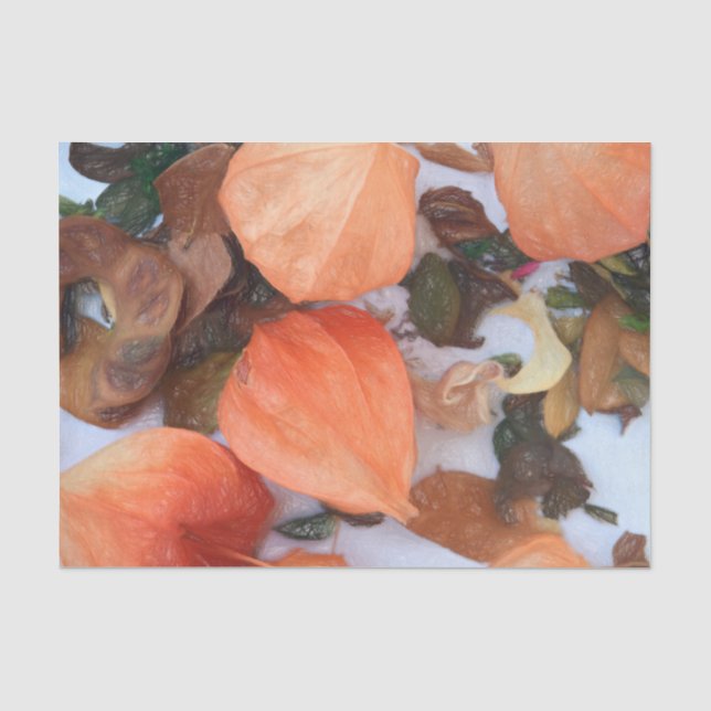 Pflanze Orange Chinesische Lanterns Seidenpapier (Vorderseite)