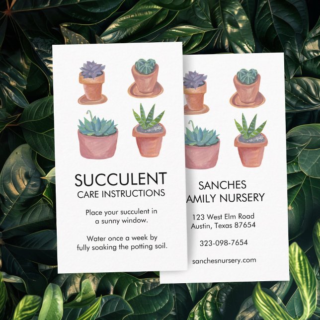 Pflanze Pflegeanleitung Hauspflanze Sukkulente Kak Visitenkarte (Plant Care Instructions Houseplant Succulent Cacti Business Card
)