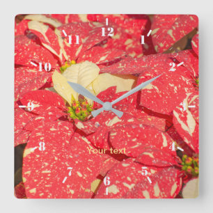 Pflanze Poinsettia Blume Quadratische Wanduhr