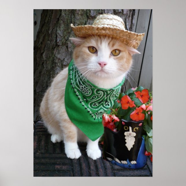 Pflanze Poster (Vorne)