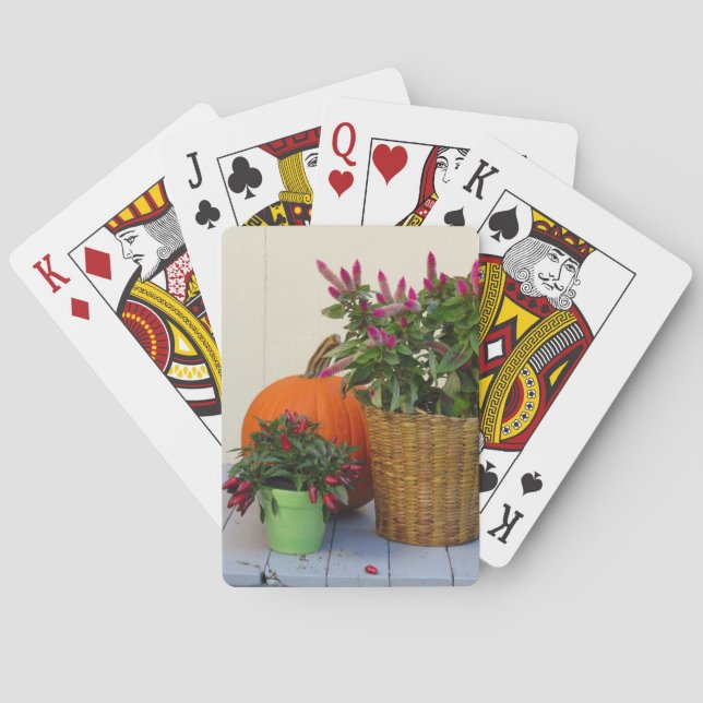 Pflanze Pumpkin und Pepper - Martha's Vineyard Spielkarten (Rückseite)