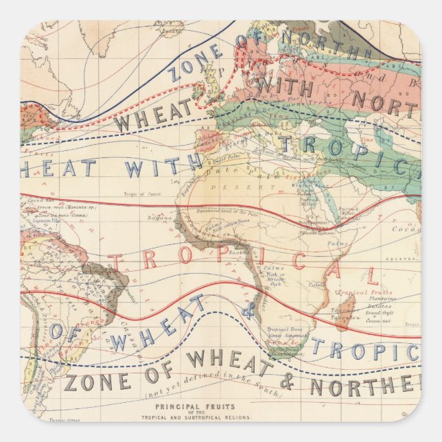 Pflanze Quadratischer Aufkleber (Vorderseite)