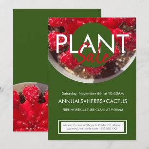 Pflanze Sale Cactus Promotional Event Flyer Einladung