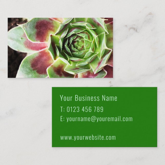 Pflanze Sitter Pflanze Visitenkarte (Vorne/Hinten)