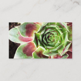Pflanze Sitter Pflanze Visitenkarte