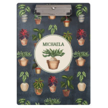 Pflanze Terracotta Pots Rustikal