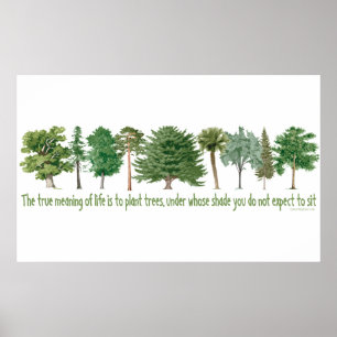 Pflanze Tree Lover, Hugger Poster