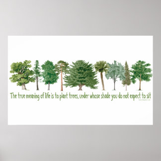 Pflanze Tree Lover, Hugger Poster