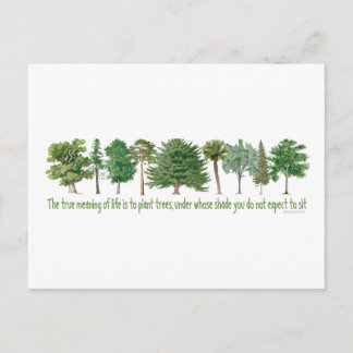 Pflanze Tree Lover, Hugger Postkarte