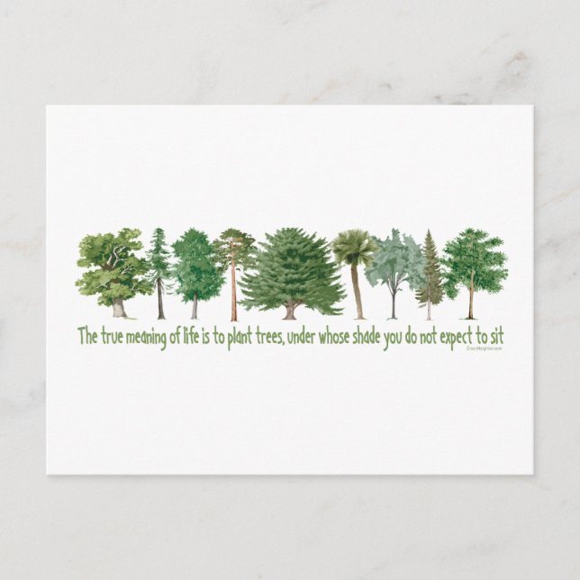 Pflanze Tree Lover, Hugger Postkarte (Vorderseite)