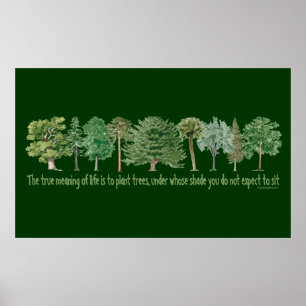 Pflanze Trees Poster