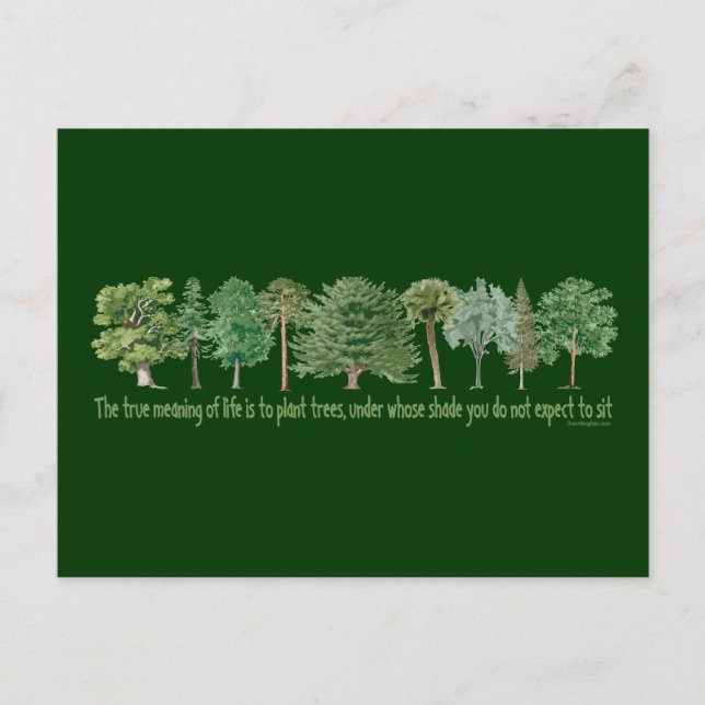 Pflanze Trees Postkarte (Vorderseite)