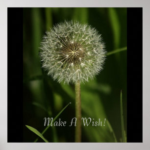 Pflanze und Wasserbildnis Poster