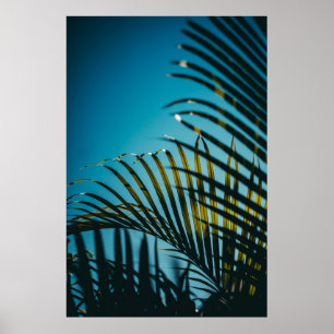 Pflanze unter blauem Himmel am Morgen Poster
