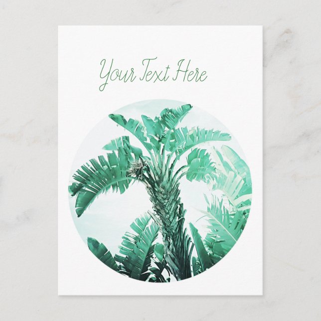 Pflanze von Bananen Postkarte (Vorderseite)