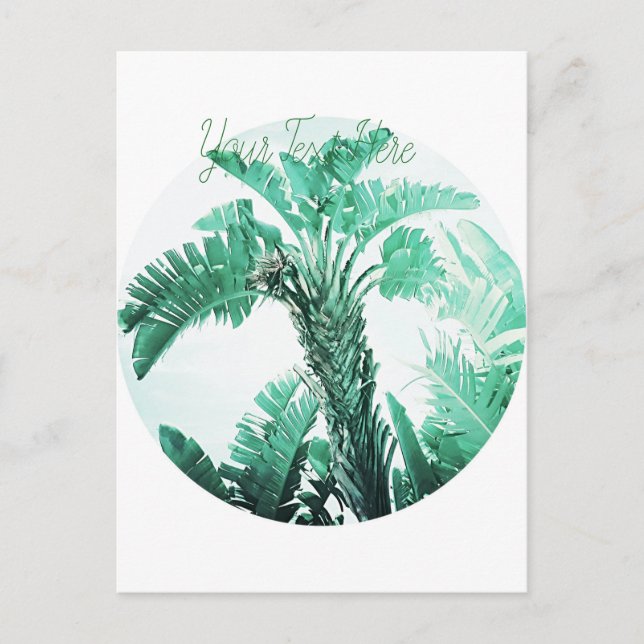 Pflanze von Bananen Postkarte (Vorderseite)