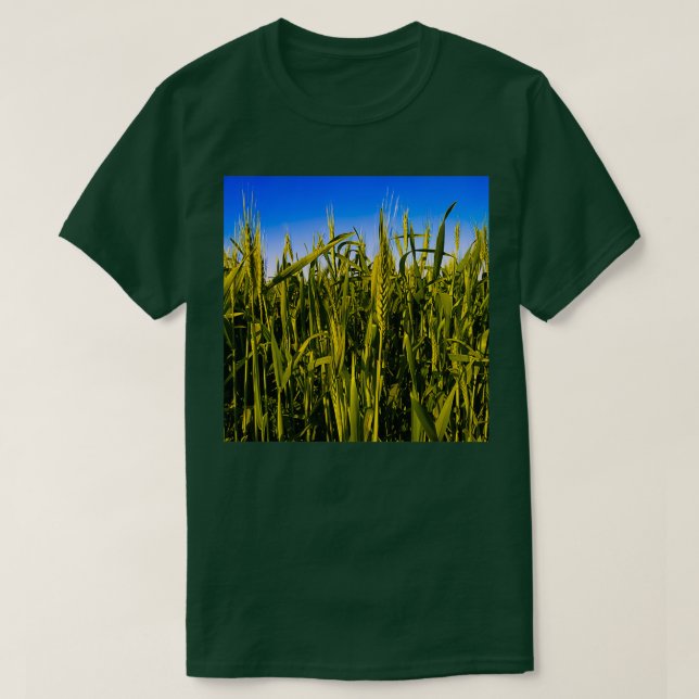 Pflanze von Grünweizen mit Ohren, die auf dem Feld T-Shirt (Design vorne)
