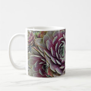 Pflanze von Hühnern und Küken Tasse