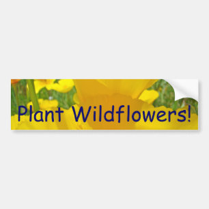 Pflanze Wildblumen! Auto-Aufkleber Mohn Autoaufkleber