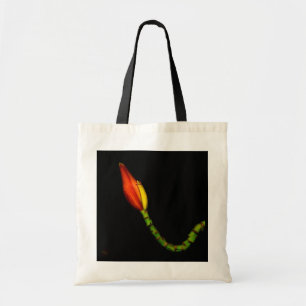 Pflanzen auf Taschen - rote Bananen-Blume