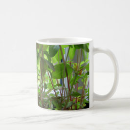 Pflanzen behalten wachsende Samen Kaffeetasse