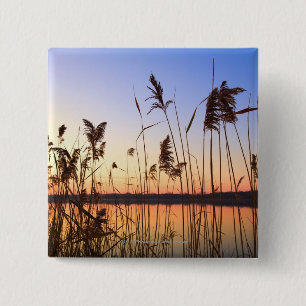 Pflanzen-Silhouette durch Lakesidesonnenuntergang Button