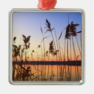 Pflanzen-Silhouette durch Lakesidesonnenuntergang Ornament Aus Metall