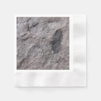 Pflanzenfossil 350 Millionen Jahre alt auf bedruck Serviette