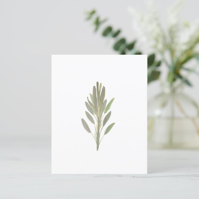 Pflanzenkraut botanische Pflanze Grünpapier Blatt (Stehend Vorderseite)