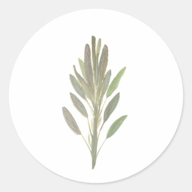 Pflanzenkraut, botanische Pflanze Runder Aufkleber (Vorderseite)