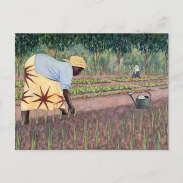 Pflanzenzüchtungen 2005 postkarte (Vorderseite)