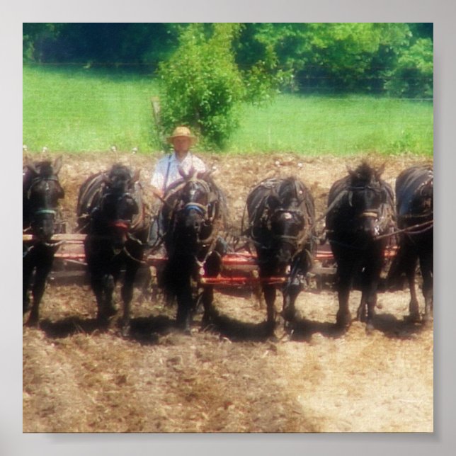 Pflanzzeit Poster (Vorne)