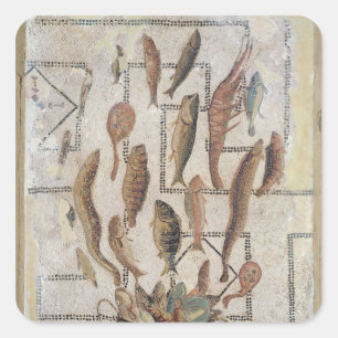 Pflaster, auf dem Fische dargestellt sind, die aus Quadratischer Aufkleber