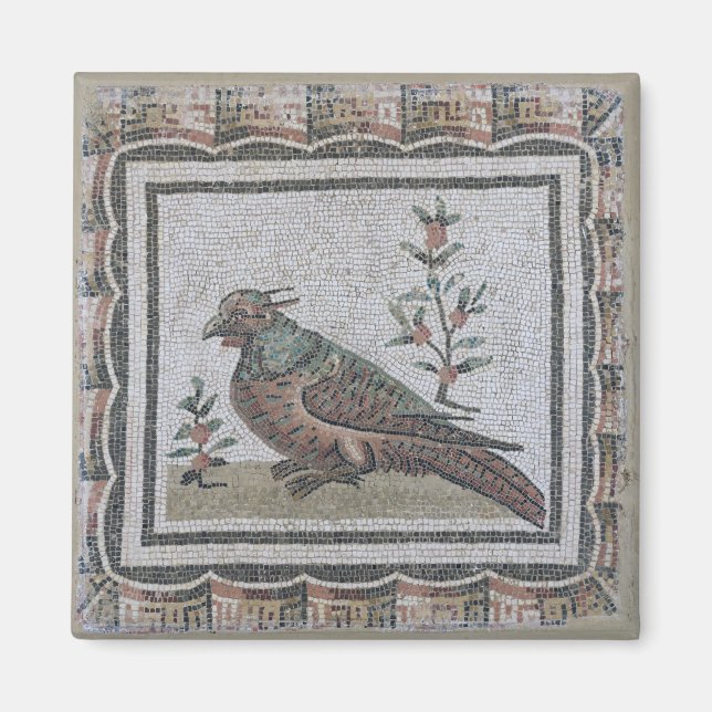 Pflaster mit einem Fasan Magnet (Vorne)