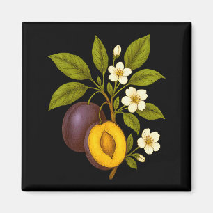 Pflaume Botanische Frucht Grafik Obstgarten Farm N Magnet