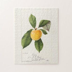 Pflaume (Prunus Domestica) Frucht Aquarellmalerei Puzzle