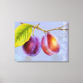 Pflaume, Prunus domestica Leinwand Art Lila