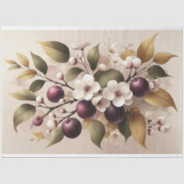 Pflaumen, Blüten, Dekopulationspapier Seidenpapier