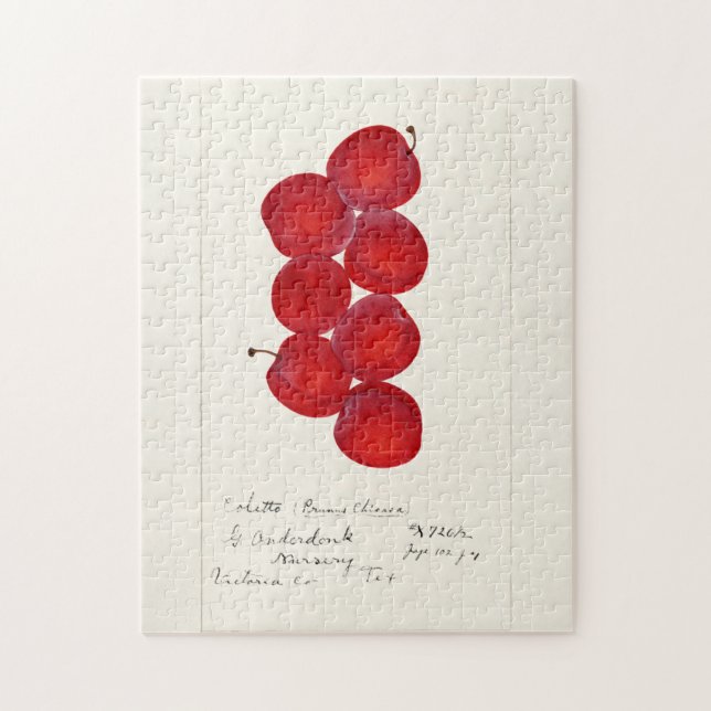 Pflaumen (Prunus Domestica) Fruchtfarben Puzzle (Vertikal)