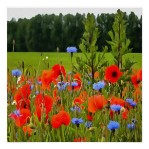 Pflaumen und Blumen Realistische Landschaft Kunst Poster