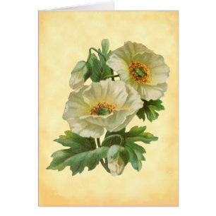 Pflaumen und Cornblumen Vintage leere Kunstkarten