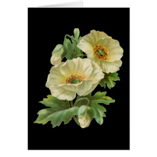 Pflaumen und Cornblumen Vintage leere Kunstkarten