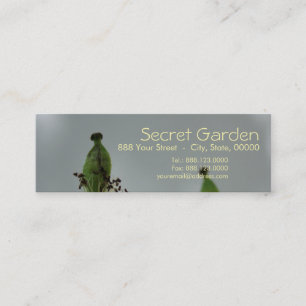 Pflaumen und Schatten (5) Mini Visitenkarte