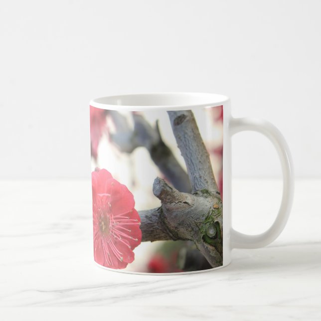 Pflaumenblüte Frühling Rosa Keimung Kaffeetasse (Rechts)