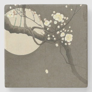 Pflaumenblüten bei Nacht von Ohara Koson Elegant Steinuntersetzer