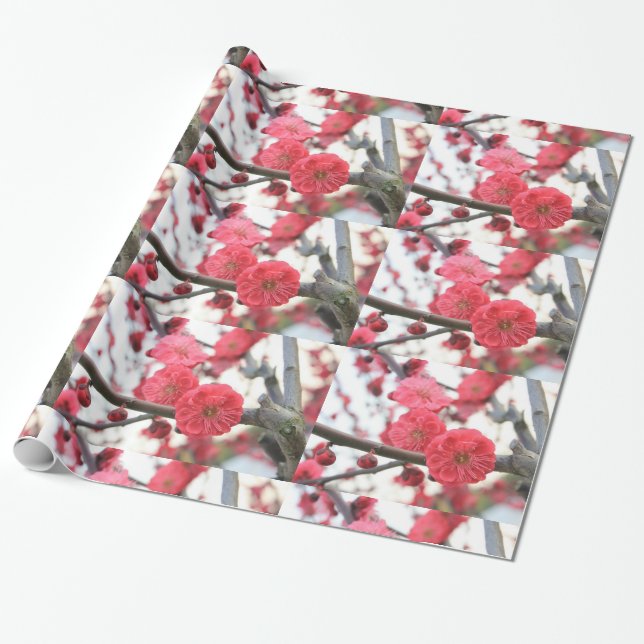 Pflaumenblütenfeder pink Blume 2 Packpapier (Ungerollt)