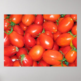 PflauschTomaten Poster