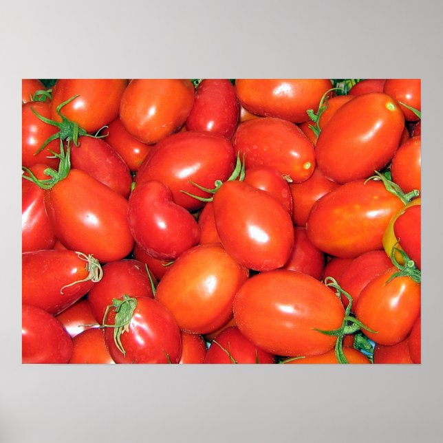 PflauschTomaten Poster (Vorne)