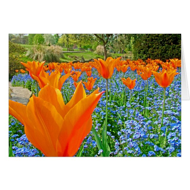 PFLEGE IN GOLDERN HILL PARK (Vorderseite (Horizontal))